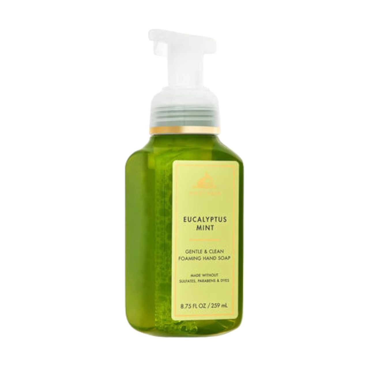 eucalyptus mint hand wash