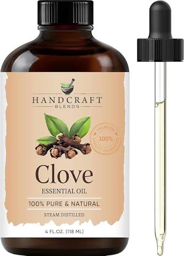 Clove