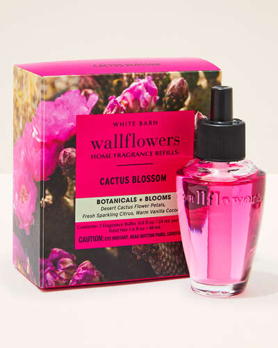 Cactus Blossom Wallflower Refill