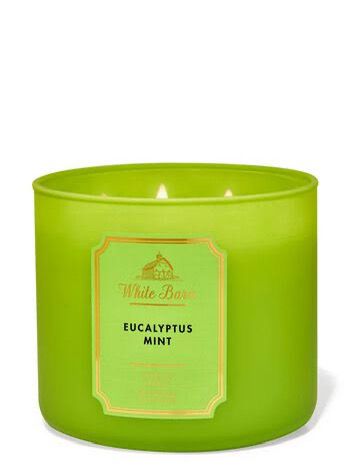 eucalyptus mint big